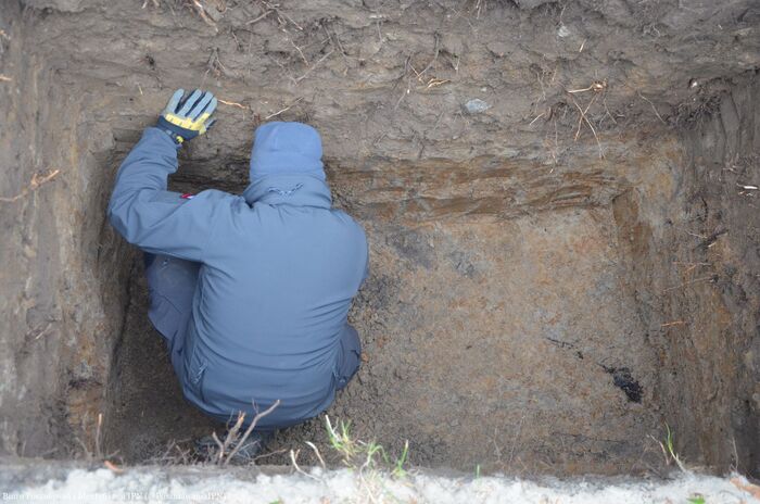 Radom: Prace na terenie Cmentarza Rzymskokatolickiego przy ul. Limanowskiego – 12 listopada 2024. Fot. BPII IPN