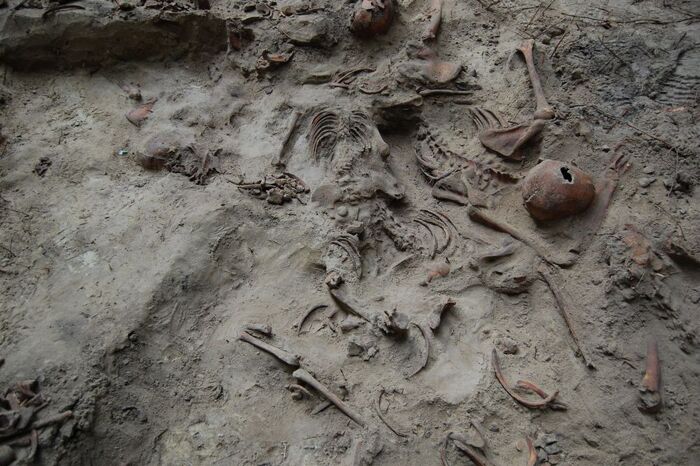 Gaj, prace ekshumacyjne