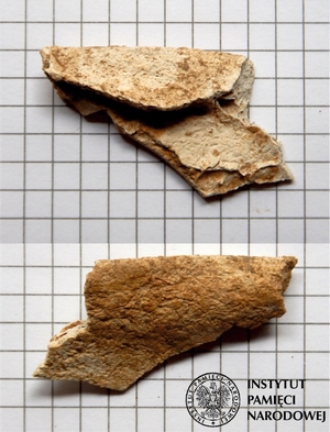 Fragmenty szczątków kostnych odnalezionych podczas wizji lokalnej 13.05.2020 r.