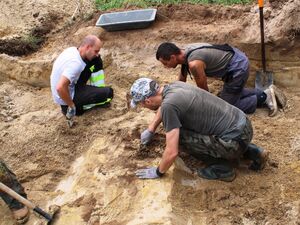 Prace ekshumacyjne wykonywane przez trzech pracowników. Fot. Sylwia Kostyra/IPN Lublin