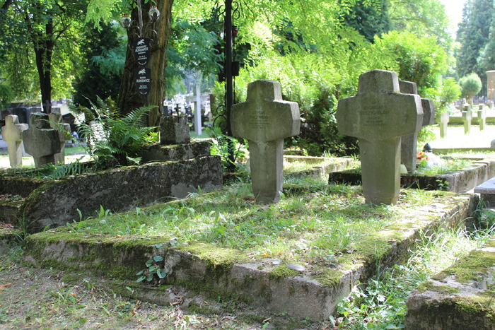 Groby wojenne żołnierzy Wojska Polskiego przed remontem. Fot. S. Kostyra/IPN Lublin